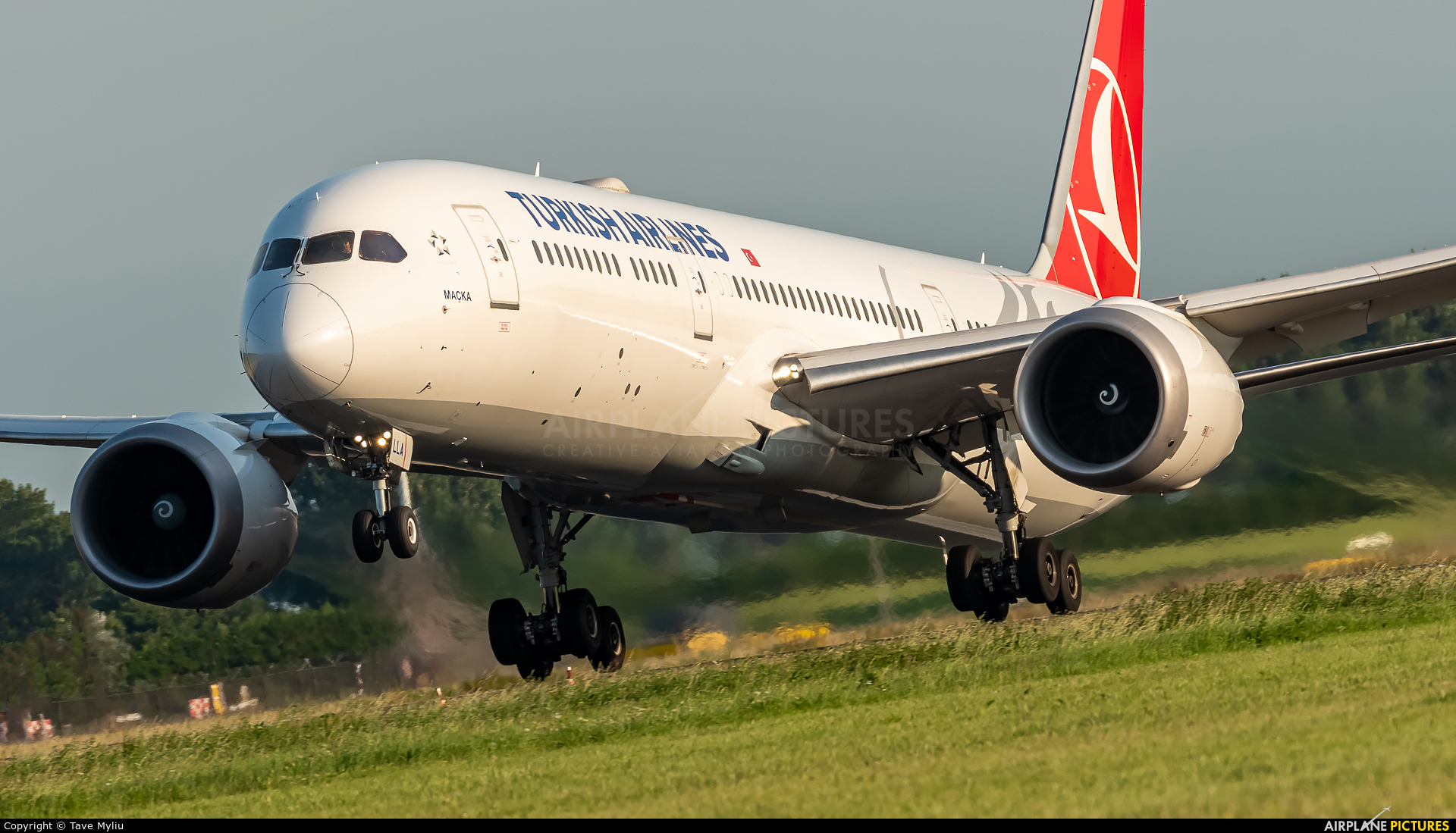 Turkish Airlines TC-LLA aircraft at Amsterdam - Schiphol