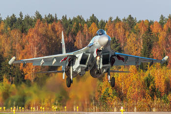 16 - Russia - Air Force Sukhoi Su-35S