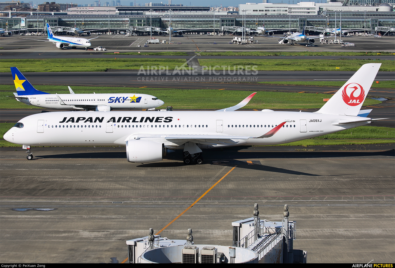 JAL - Japan Airlines JA09XJ aircraft at Tokyo - Haneda Intl