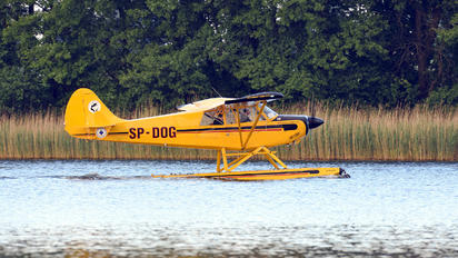 SP-DOG - Private Aviat A-1 Husky