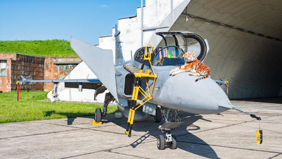 9819 - Czech - Air Force SAAB JAS 39D Gripen
