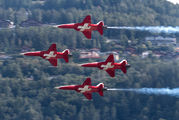 Switzerland - Air Force: Patrouille Suisse - image