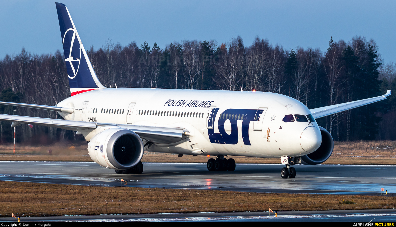 LOT - Polish Airlines SP-LRG aircraft at Katowice - Pyrzowice
