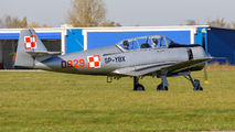SP-YBX - Private PZL TS-8 Bies aircraft