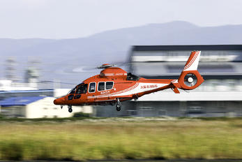 JA210F - Osaka Municipal Fire Department Airbus Helicopters EC155 B1