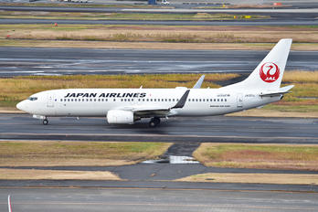 JA331J - JAL - Japan Airlines Boeing 737-800