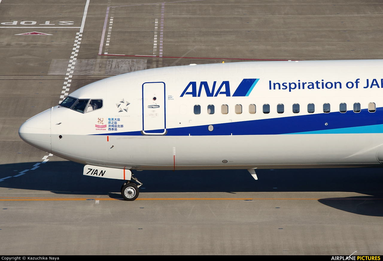 ANA - All Nippon Airways JA71AN aircraft at Tokyo - Haneda Intl
