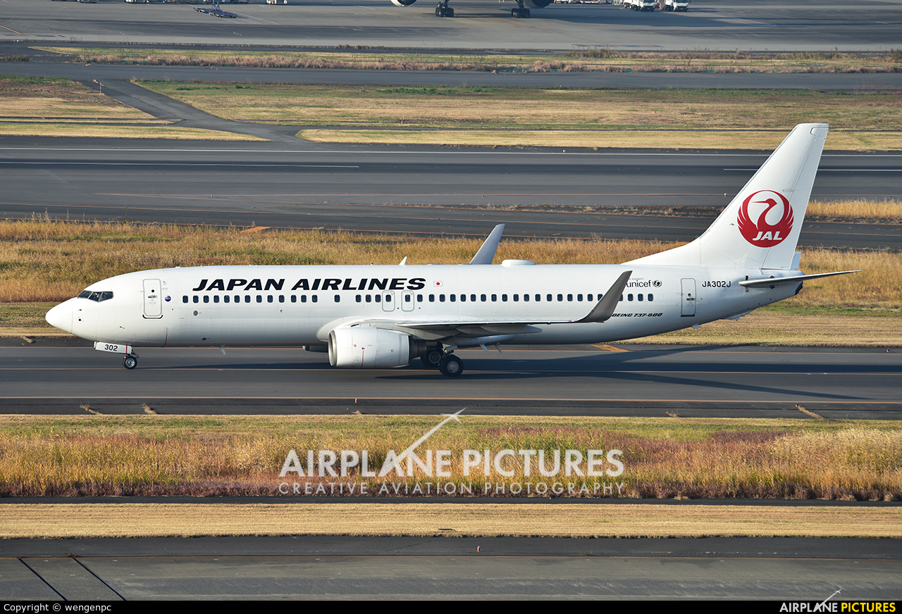 JAL - Japan Airlines JA302J aircraft at Tokyo - Haneda Intl