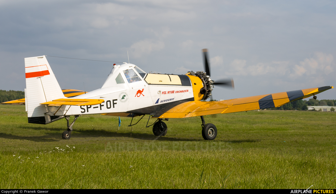 Aerogryf SP-FOF aircraft at Szczecin - Dąbie