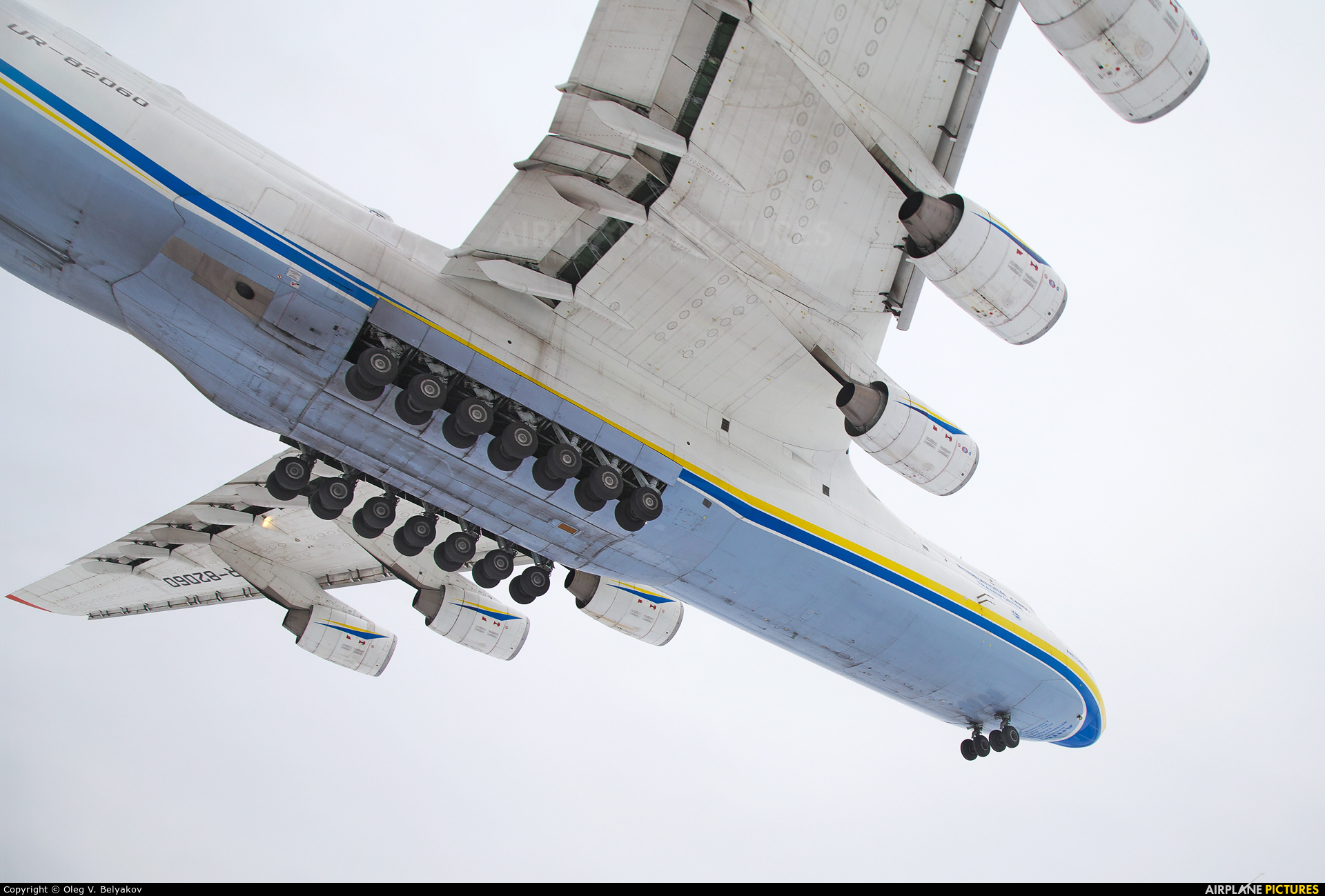 Antonov Airlines /  Design Bureau UR-82060 aircraft at Kyiv - Gostomel
