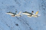 J-5006 - Switzerland - Air Force McDonnell Douglas F/A-18C Hornet aircraft