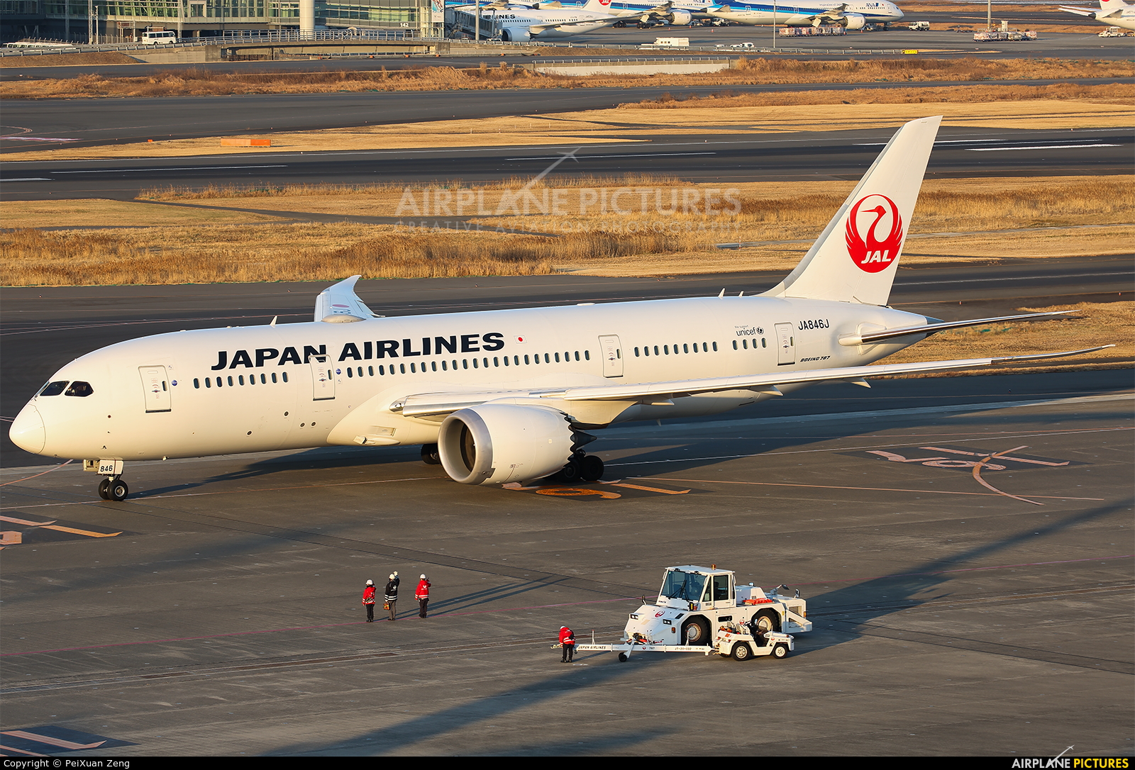 JAL - Japan Airlines JA846J aircraft at Tokyo - Haneda Intl