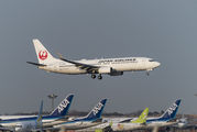 JAL - Japan Airlines JA307J image