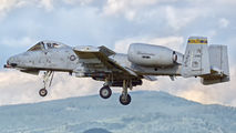 095 - USA - Air Force Fairchild A-10 Thunderbolt II (all models) aircraft
