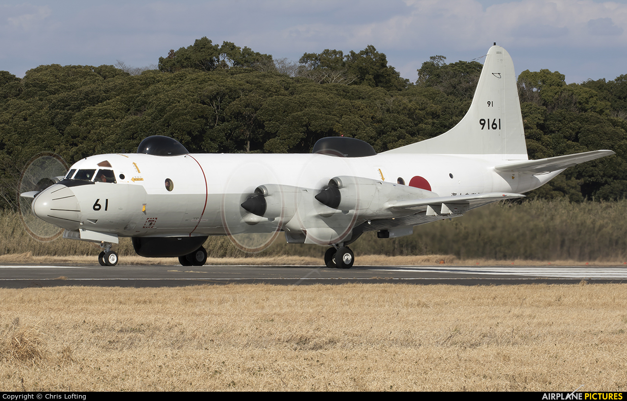 Japan - Maritime Self-Defense Force 9161 aircraft at Kanoya