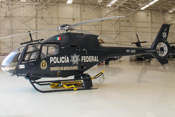 PF-305 - Mexico - Police Eurocopter EC120B Colibri