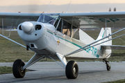 SP-TIR - Private Aviat A-1 Husky aircraft