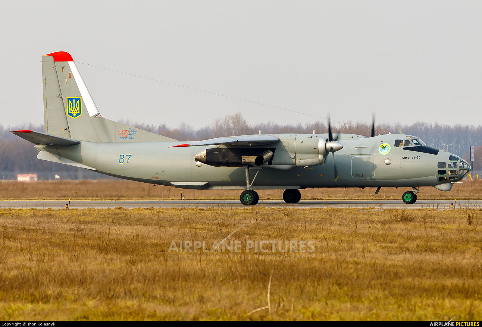 Ukraine - Air Force 87 aircraft at Kyiv - Borispol