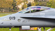 J-5019 - Switzerland - Air Force McDonnell Douglas F/A-18C Hornet aircraft
