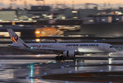JAL - Japan Airlines JA01XJ image
