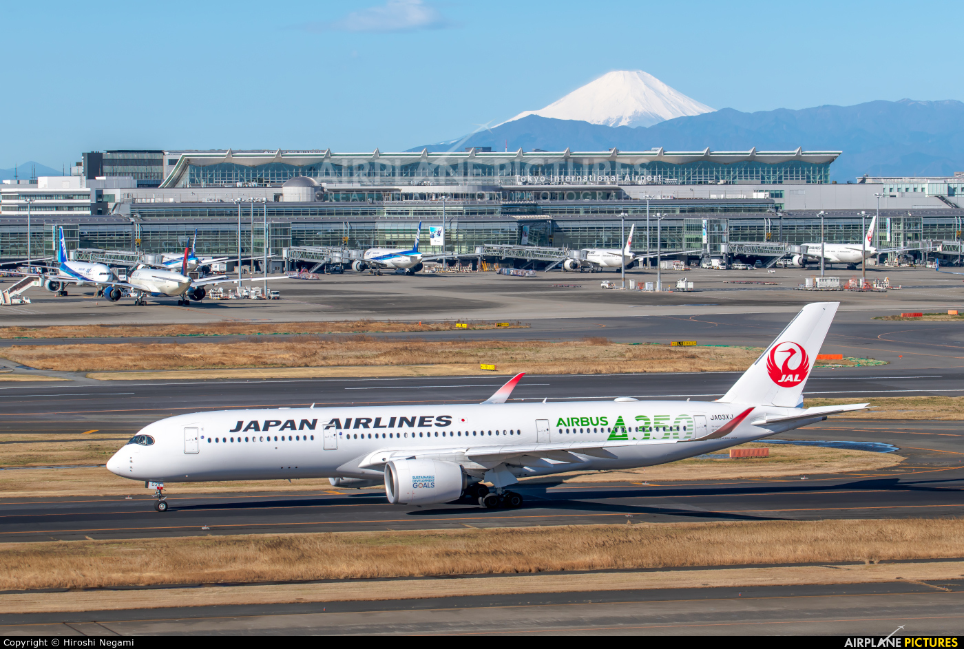 JAL - Japan Airlines JA03XJ aircraft at Tokyo - Haneda Intl