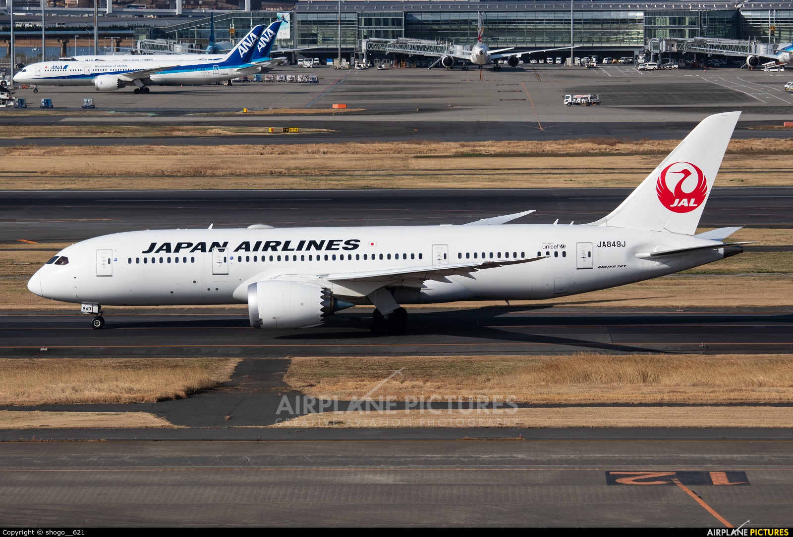 JAL - Japan Airlines JA849J aircraft at Tokyo - Haneda Intl