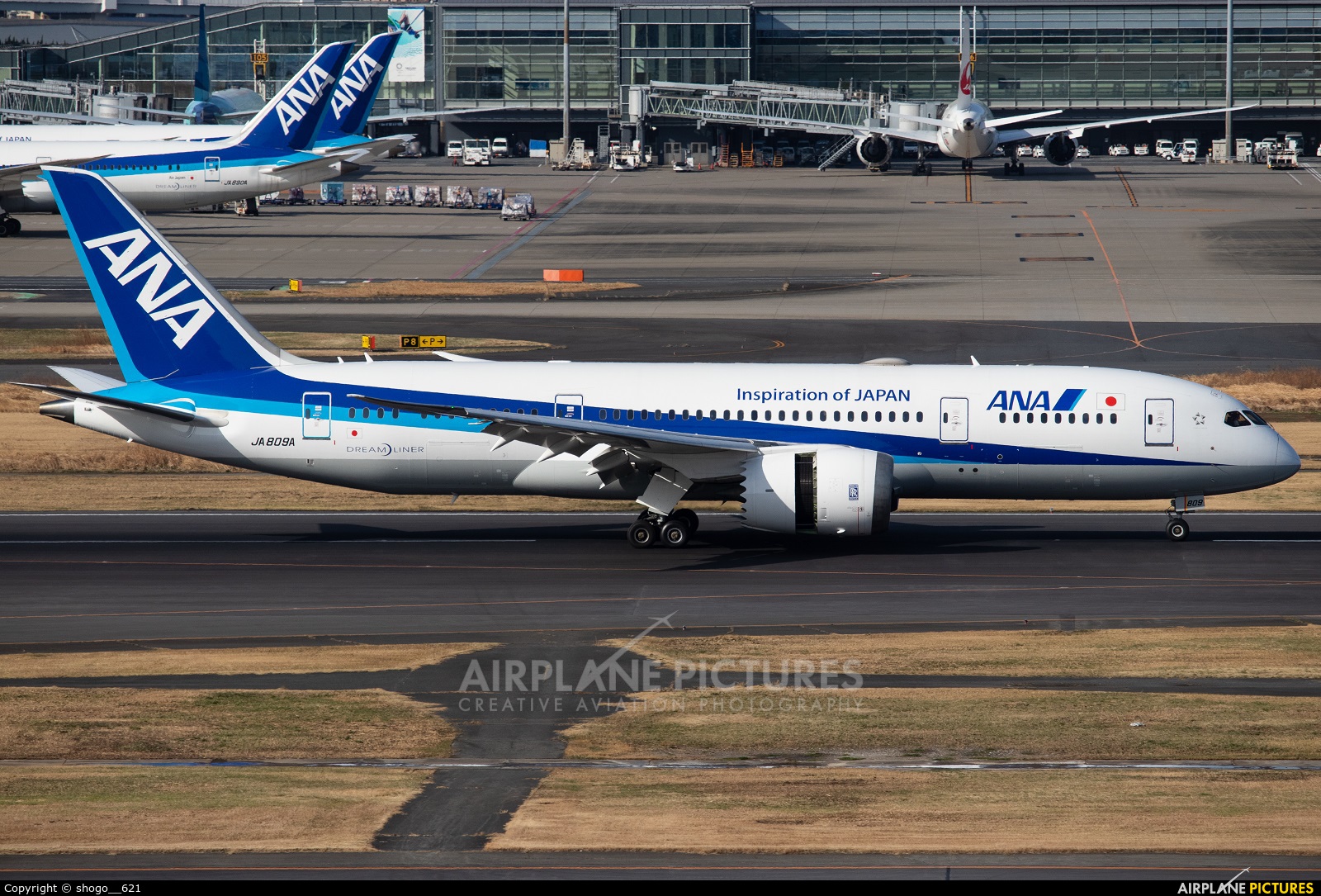 ANA - All Nippon Airways JA809A aircraft at Tokyo - Haneda Intl