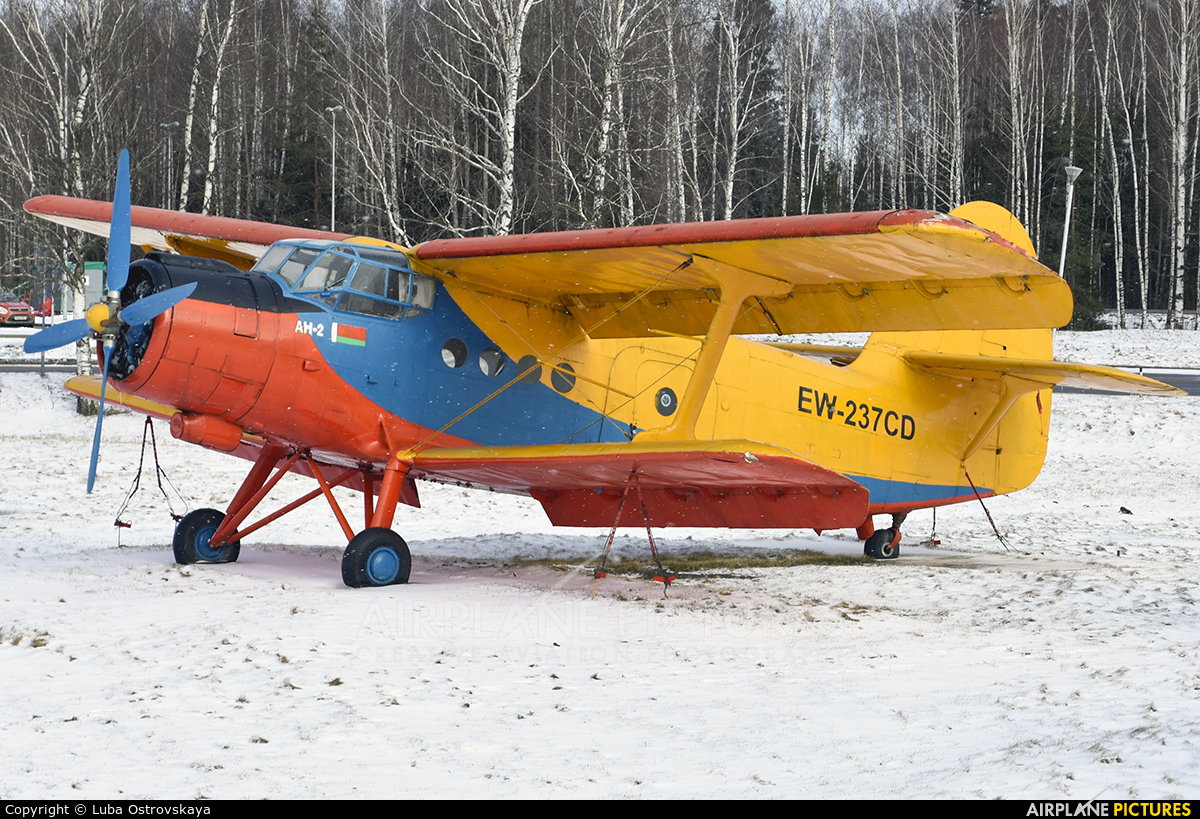 Belarus - DOSAAF EW-237CD aircraft at Minsk Intl