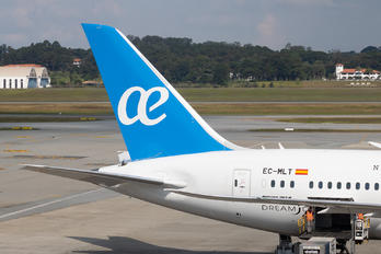 EC-MLT - Air Europa Boeing 787-8 Dreamliner