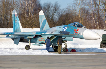 RF-95508 - Russia - Navy Sukhoi Su-27P
