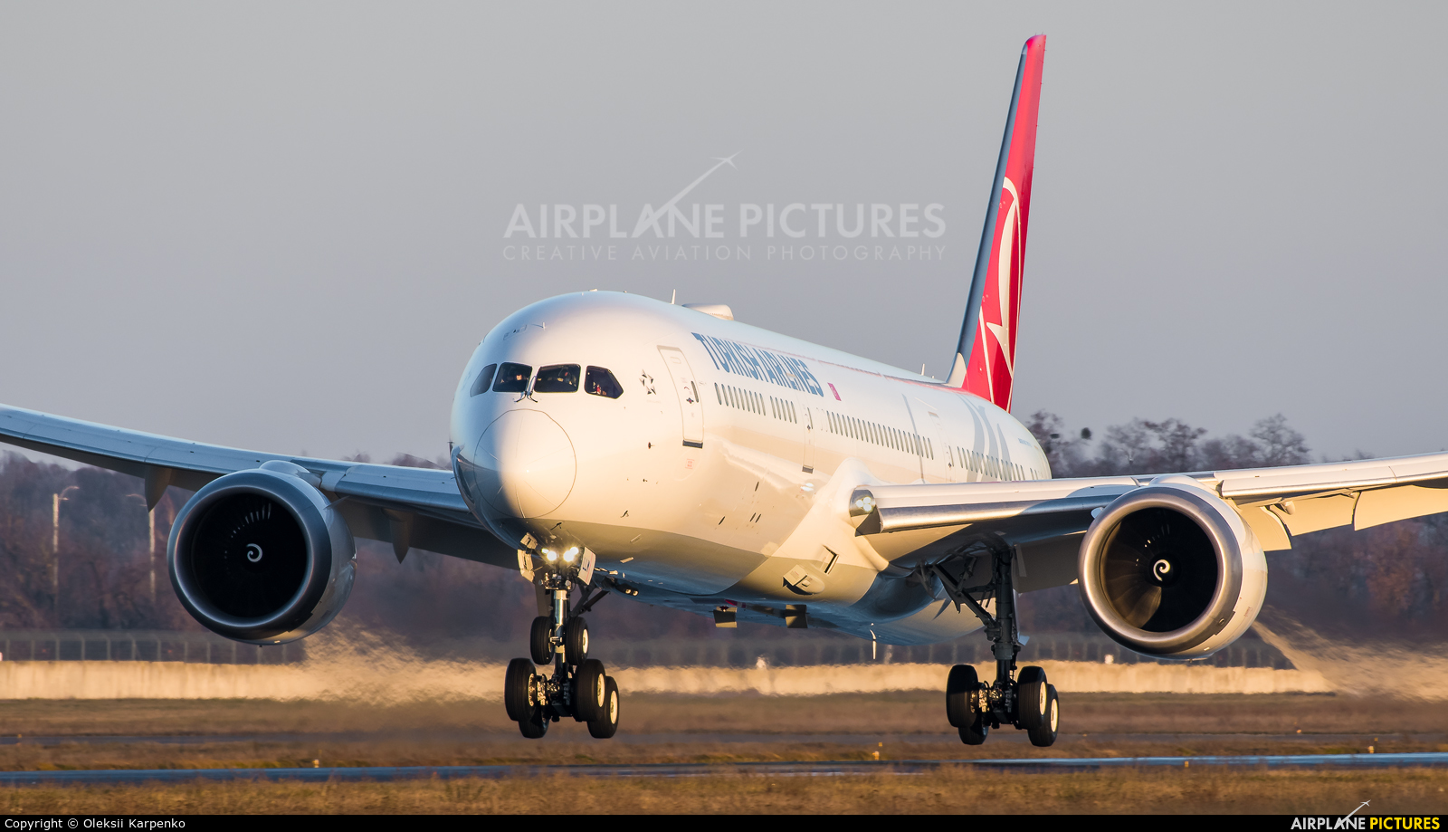 Turkish Airlines TC-LLM aircraft at Kyiv - Borispol