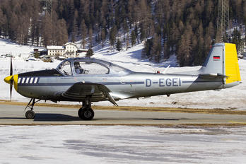 D-EGEI - Private Piaggio P.149 (all models)