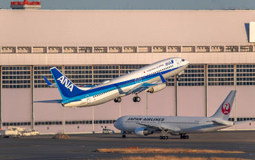 JA65AN - ANA - All Nippon Airways Boeing 737-800