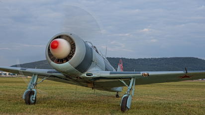 D-FYII - Private Yakovlev Yak-11