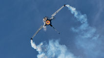 Belgium - Air Force FA-101 image
