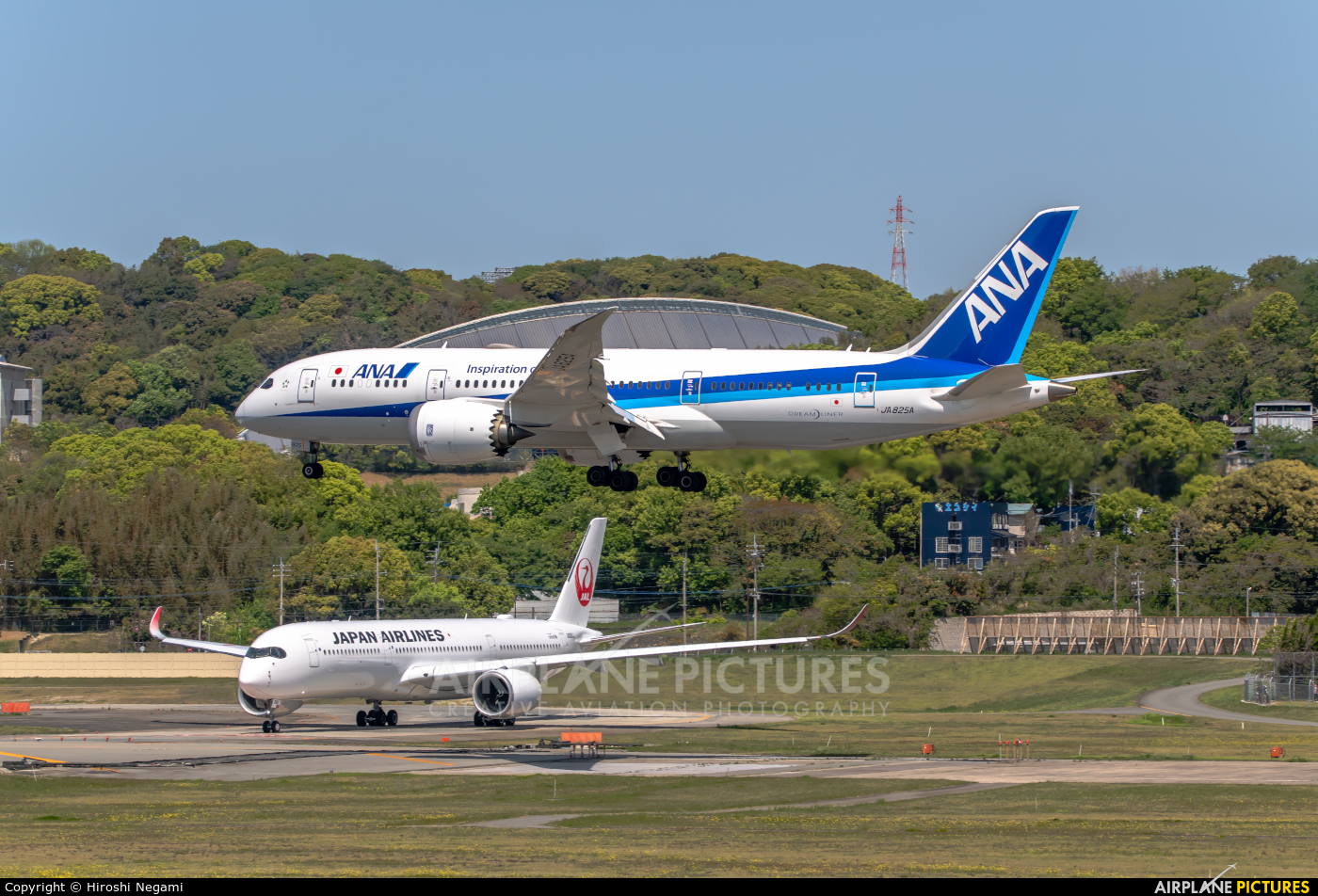 ANA - All Nippon Airways JA825A aircraft at Fukuoka