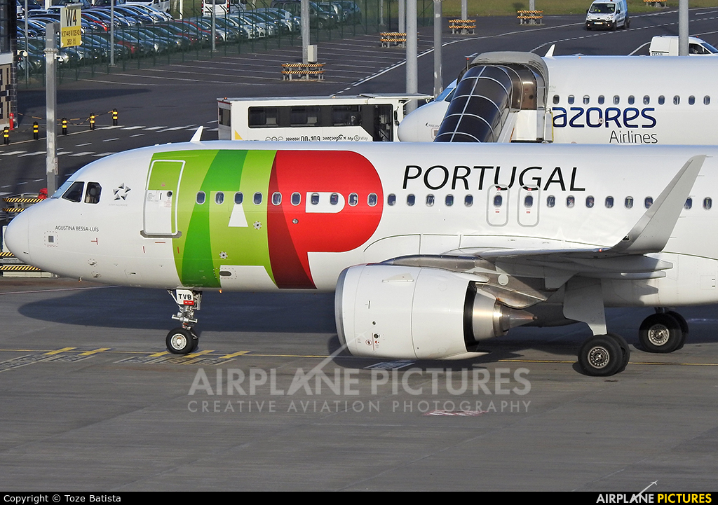 TAP Portugal CS-TVB aircraft at Azores - Ponta Delgada