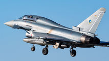 31+25 - Germany - Air Force Eurofighter Typhoon T aircraft