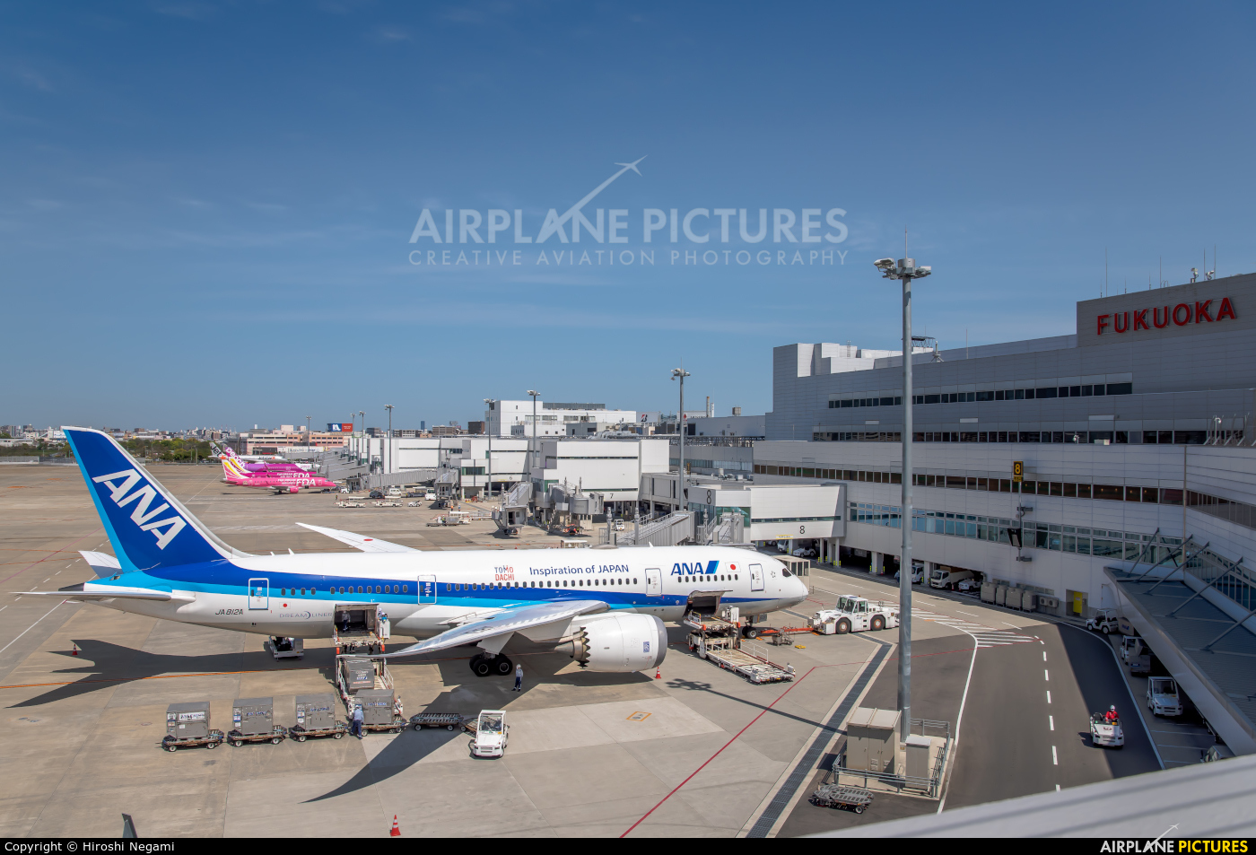 ANA - All Nippon Airways JA812A aircraft at Fukuoka
