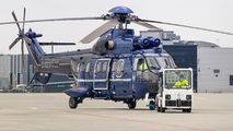 D-HEGZ - Bundespolizei Eurocopter AS332 Super Puma aircraft
