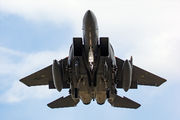 91-0604 - USA - Air Force McDonnell Douglas F-15E Strike Eagle aircraft