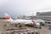 JAL - Japan Airlines JA07XJ image