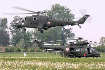 732 - Poland - Army Mil Mi-24V
