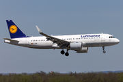 Lufthansa D-AINB image