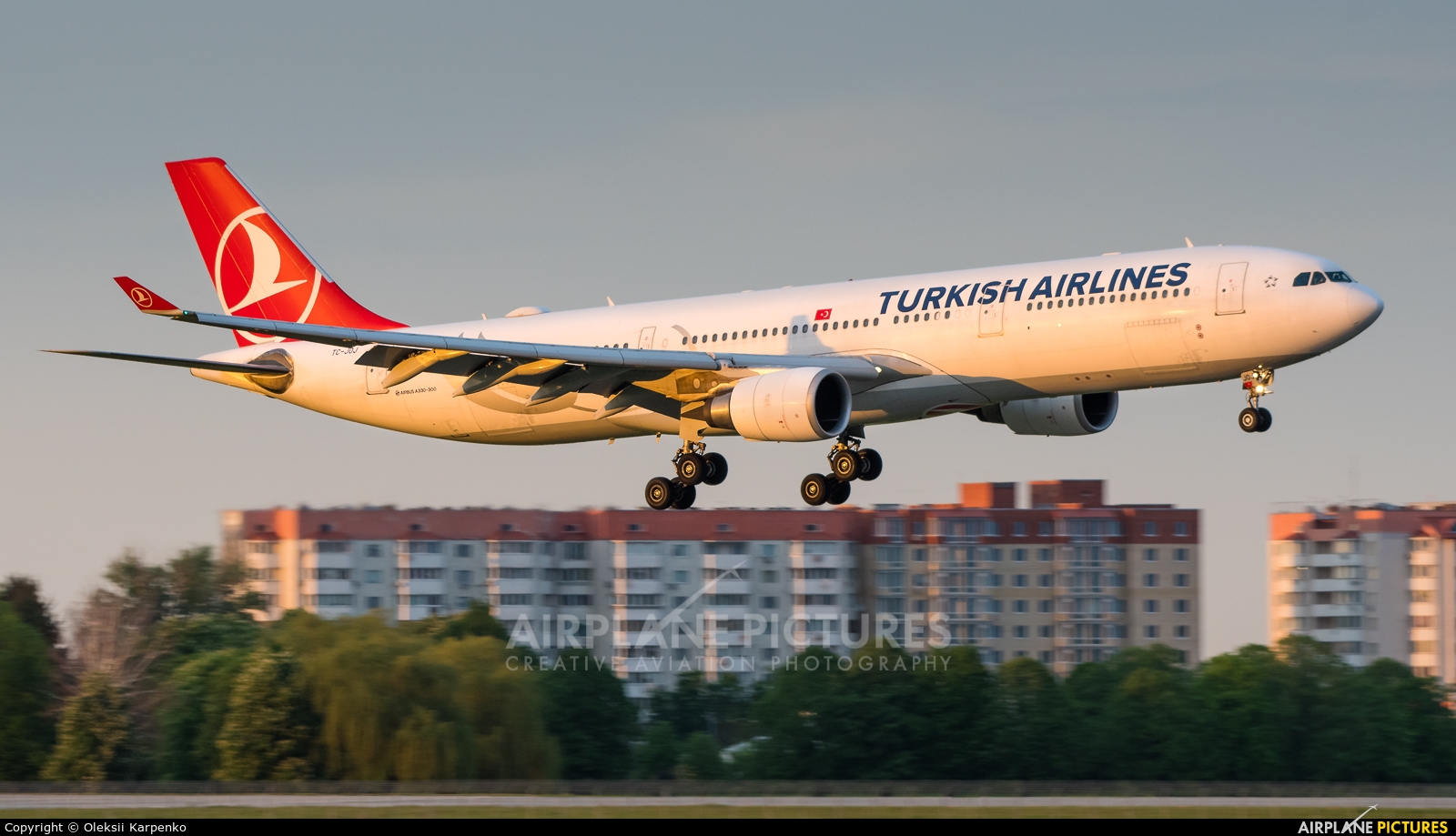 Turkish Airlines TC-JOJ aircraft at Kyiv - Borispol