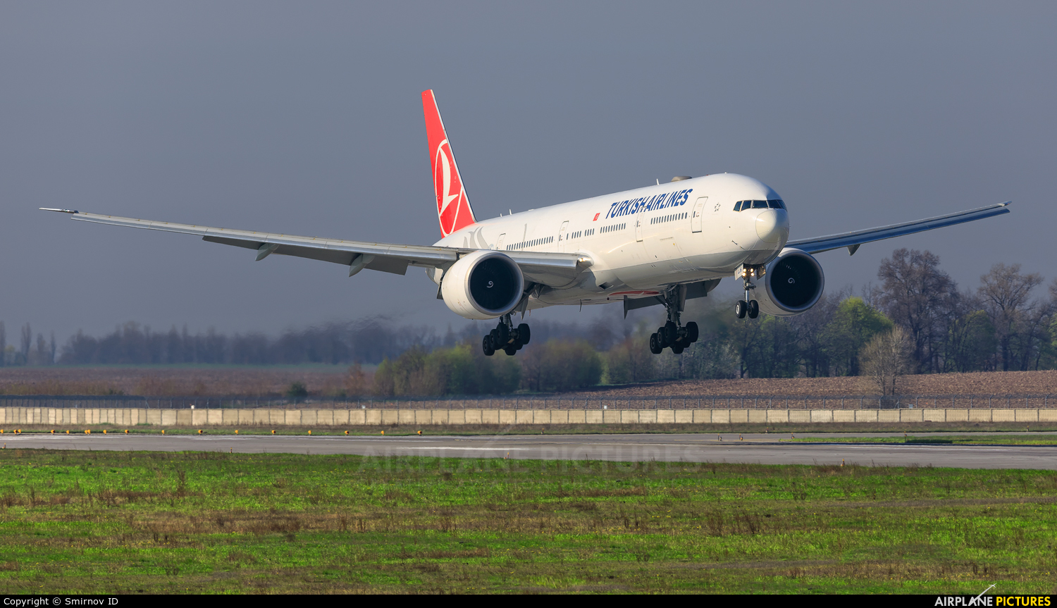 Turkish Airlines TC-LJH aircraft at Kyiv - Borispol