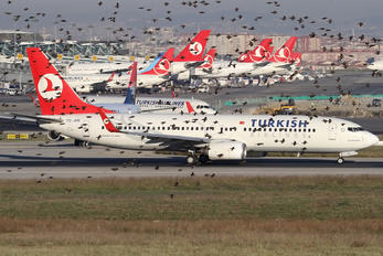 TC-JHE - Turkish Airlines Boeing 737-800