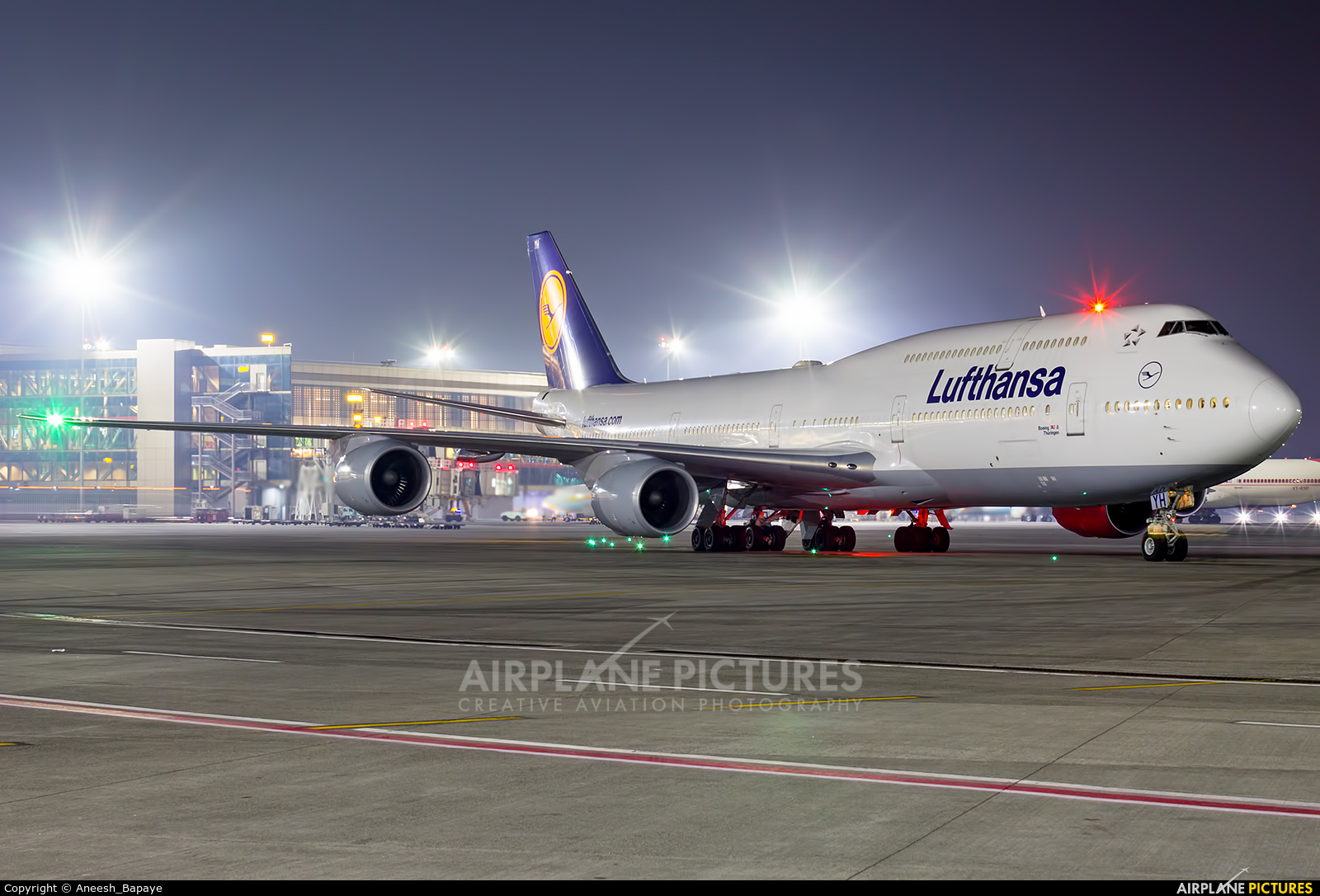 Lufthansa D-ABYH aircraft at Mumbai - Chhatrapati Shivaji Intl