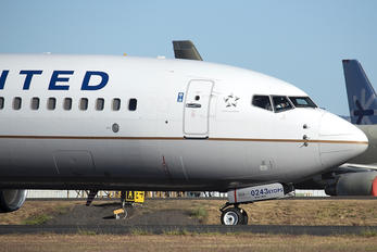 N18243 - United Airlines Boeing 737-800