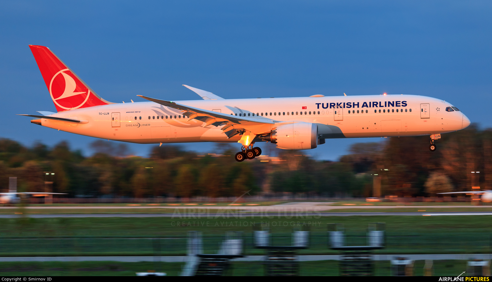 Turkish Airlines TC-LLN aircraft at Kyiv - Borispol